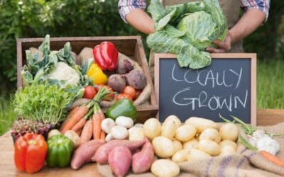 2022 Senior Farmers Market Voucher Applications are Now Available